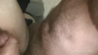 Breeding an Aussie Daddy