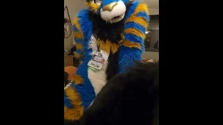 good kitty fucks the cum out of the bad dog then cums hands free