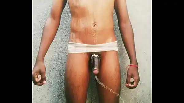 disegay