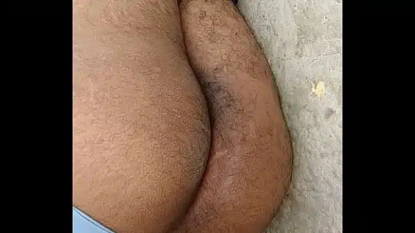 Gay ass