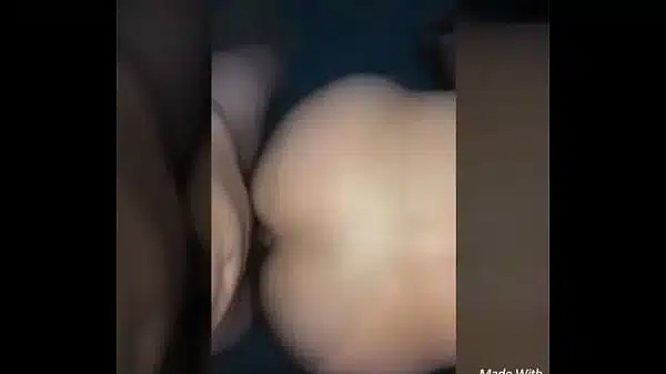 gay dâm zục