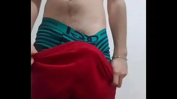 Verga gay