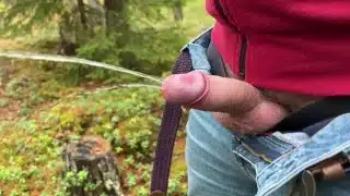 Compilation: 1 hour pees everywhere