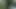 Xhamster