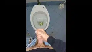 a young guy went into a dirty public toilet to pee and jerk off